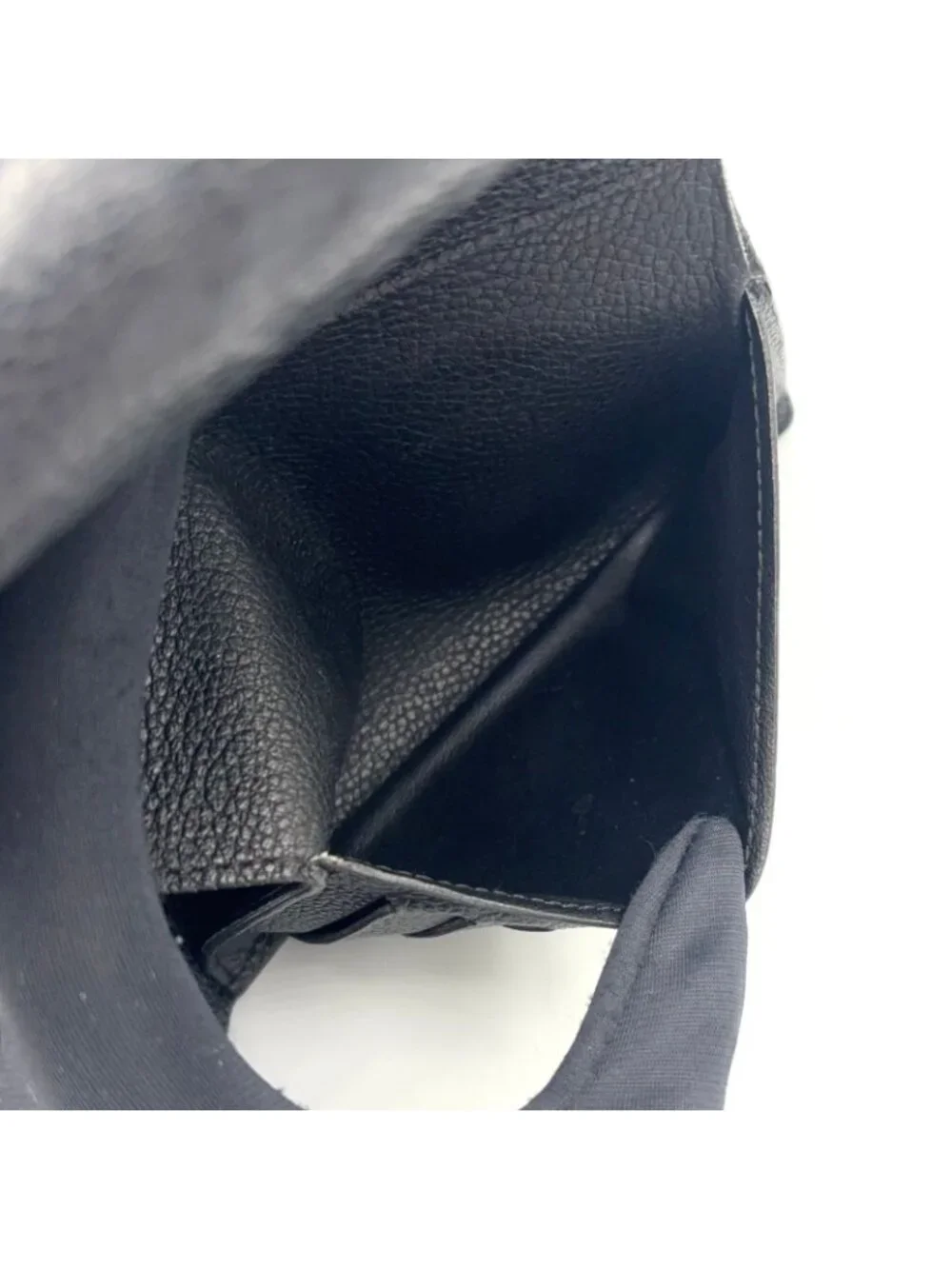 Louis Vuitton brand louis